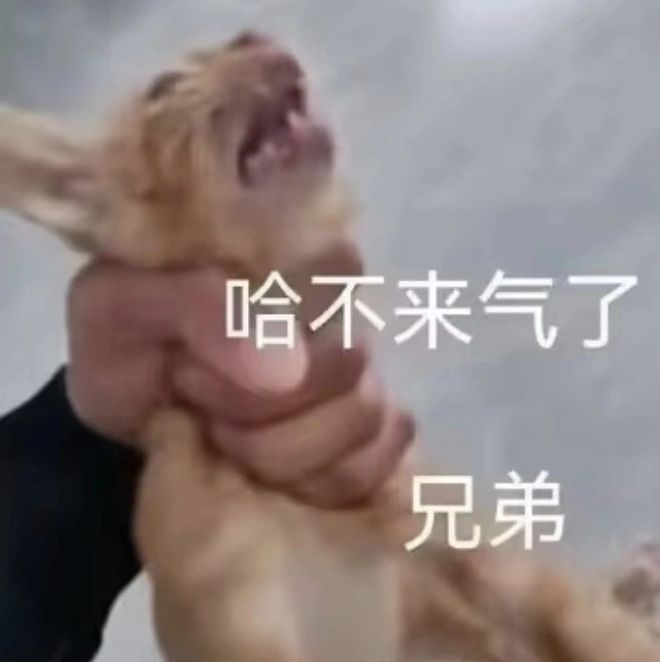 影片的大罪人监狱都被民间礼物塞满了…麻将胡了模拟器试玩给日本人提供不打码(图4)