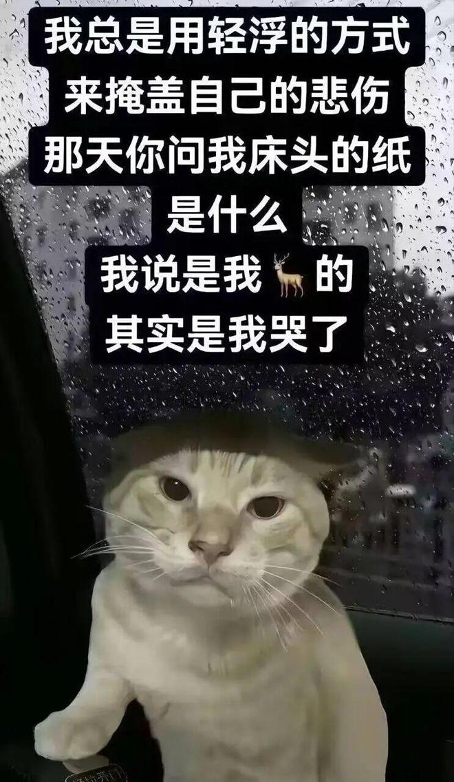 影片的大罪人监狱都被民间礼物塞满了…麻将胡了模拟器试玩给日本人提供不打码(图24)